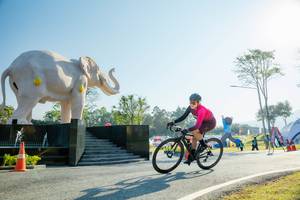 BIB: 
                            <button type="button" onclick="openModal(26183004)" class="btn btn-primary btn-sm float-right btn-popup" data-toggle="modal" data-target=".modal-high-quality">
                        <i class="fas fa-shopping-cart"></i> Add to Cart
                    </button>
                                            <button type="button" onclick="isThisMe(26183004, true)" class="btn btn-success btn-sm float-right btn-popup btn-isme hidden" data-toggle="tooltip" data-placement="bottom" title="นี่คือรูปของคุณใช่ไหม คลิกที่นี่เพื่อเอาเข้าอัลบั้ม">
                        <i class="fas fa-plus"></i> Add to album
                    </button>
                    <button type="button" onclick="isThisMe(26183004, false)" class="btn btn-warning btn-sm float-right btn-popup btn-isnotme hidden">
                        <i class="fas fa-ban"></i> Remove from album
                    </button>